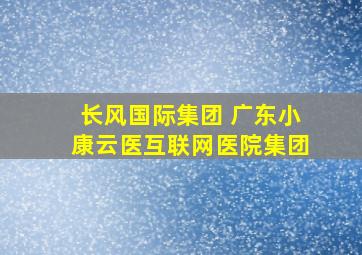 长风国际集团 广东小康云医互联网医院集团